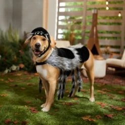 Frisco Spider Dog & Cat Costume -Frisco Sales Store 335017 PT7. AC SS1800 V1657834853