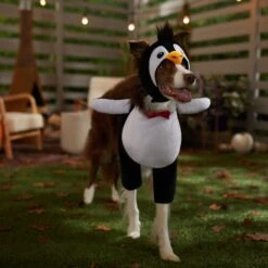 Frisco Front Walking Penguin Dog & Cat Costume 14 Frisco Front Walking Penguin Dog & Cat Costume -Frisco Sales Store 335062 PT7. AC SS1800 V1657718971