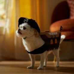 Frisco Pirate Ship Dog & Cat Costume -Frisco Sales Store 335078 PT7. AC SS1800 V1657656881
