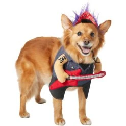 Frisco Front Walking Punk Rocker Dog & Cat Costume -Frisco Sales Store 335087 PT3. AC SS1800 V1658346323