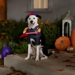 Frisco Front Walking Punk Rocker Dog & Cat Costume -Frisco Sales Store 335087 PT7. AC SS1800 V1657732627