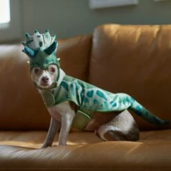 Frisco Triceratops Dog & Cat Costume -Frisco Sales Store 335093 PT7. AC SS1800 V1657659565