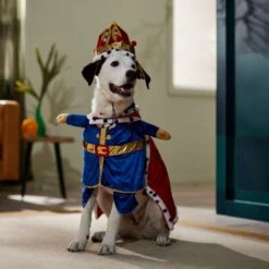 Frisco Front Walking Royal King Dog & Cat Costume 14 Frisco Front Walking Royal King Dog & Cat Costume -Frisco Sales Store 335127 PT7. AC SS1800 V1659037728