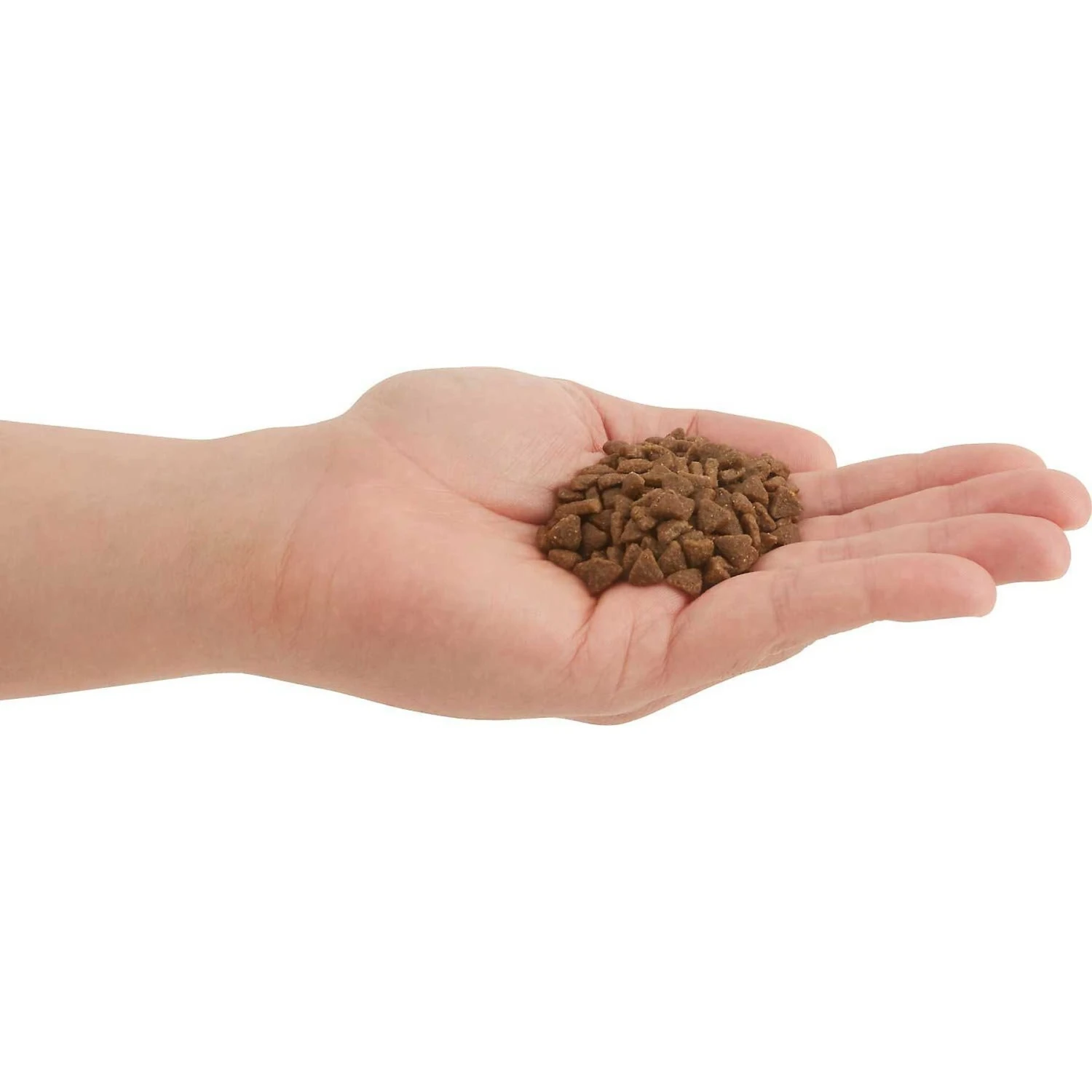 ACANA First Feast High-Protein Kitten Dry Cat Food, 4-lb Bag & Frisco Multi-Cat Unscented Clumping Clay Cat Litter 4 ACANA First Feast High-Protein Kitten Dry Cat Food, 4-lb Bag & Frisco Multi-Cat Unscented Clumping Clay Cat Litter - Image 4