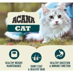 ACANA First Feast High-Protein Kitten Dry Cat Food, 4-lb Bag & Frisco Multi-Cat Unscented Clumping Clay Cat Litter 13 ACANA First Feast High-Protein Kitten Dry Cat Food, 4-lb Bag & Frisco Multi-Cat Unscented Clumping Clay Cat Litter -Frisco Sales Store 338643 PT4. AC SS1800 V1635899904