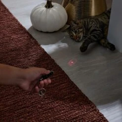 Frisco Halloween Skull Laser Cat Toy 8 Frisco Halloween Skull Laser Cat Toy -Frisco Sales Store 344068 PT3. AC SS1800 V1659279988