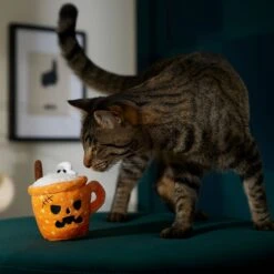 Frisco Halloween Spooky Pumpkin Spice Latte Plush Cat Toy With Catnip 6 Frisco Halloween Spooky Pumpkin Spice Latte Plush Cat Toy With Catnip -Frisco Sales Store 344080 PT3. AC SS1800 V1657657033