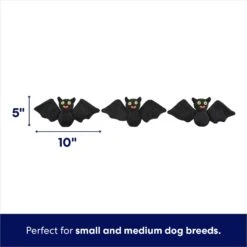 Frisco Halloween Haunted House Hide & Seek Puzzle Plush Squeaky Dog Toy 8 Frisco Halloween Haunted House Hide & Seek Puzzle Plush Squeaky Dog Toy -Frisco Sales Store 344136 PT2. AC SS1800 V1690911191