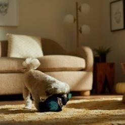 Frisco Halloween Lantern Ballistic Nylon Plush Squeaky Dog Toy 7 Frisco Halloween Lantern Ballistic Nylon Plush Squeaky Dog Toy -Frisco Sales Store 344138 PT3. AC SS1800 V1657657042