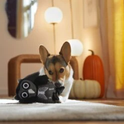 Frisco Halloween Spooky Owl Plush Squeaky Dog Toy -Frisco Sales Store 344162 PT3. AC SS1800 V1657657049