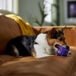 Frisco Halloween Vampire Latex Squeaky Dog Toy -Frisco Sales Store 344166 PT3. AC SS1800 V1657657049