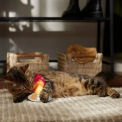 Frisco Fall Campfire Plush Cat Toy With Catnip -Frisco Sales Store 344178 PT3. AC SS1800 V1659023182