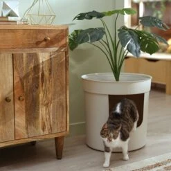 Frisco Hidden Planter Cat Litter Box, 16-in