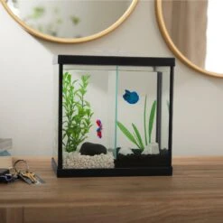 Frisco 2 Betta Aquarium With Divider/Top -Frisco Sales Store 345877 PT3. AC SS1800 V1646179136