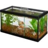 Frisco 3 Betta Aquarium With Divider/Top