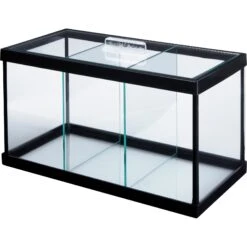Frisco 3 Betta Aquarium With Divider/Top -Frisco Sales Store 345879 PT2. AC SS1800 V1646177687
