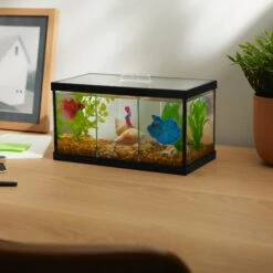 Frisco 3 Betta Aquarium With Divider/Top -Frisco Sales Store 345879 PT3. AC SS1800 V1646177333