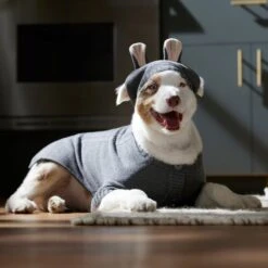Frisco Bunny Hooded Dog & Cat Sweater -Frisco Sales Store 353571 PT6. AC SS1800 V1660749538
