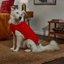 Frisco Plaid Cable Knit Dog & Cat Sweater 12 Frisco Plaid Cable Knit Dog & Cat Sweater -Frisco Sales Store 353611 PT7. AC SS1800 V1660749926