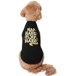 Frisco Nap Hard Play Hard Dog & Cat T-Shirt -Frisco Sales Store 353713 PT2. AC SS1800 V1659010872