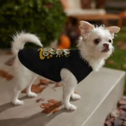 Frisco Nap Hard Play Hard Dog & Cat T-Shirt -Frisco Sales Store 353713 PT7. AC SS1800 V1660750172