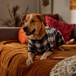 Frisco Plaid Dog & Cat Fleece Pajamas -Frisco Sales Store 353755 PT6. AC SS1800 V1660749967