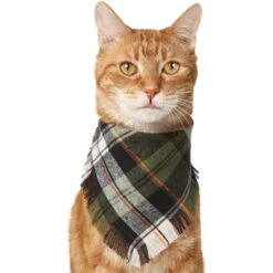 Frisco Plaid Fringe Dog & Cat Bandana