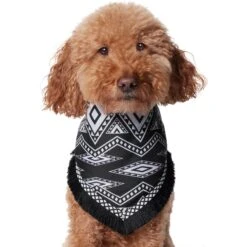 Frisco Southwest Fringe Dog & Cat Bandana 10 Frisco Southwest Fringe Dog & Cat Bandana -Frisco Sales Store 353783 PT2. AC SS1800 V1659007315