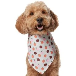 Frisco Apple Dog & Cat Bandana 10 Frisco Apple Dog & Cat Bandana -Frisco Sales Store 353786 PT2. AC SS1800 V1661275129