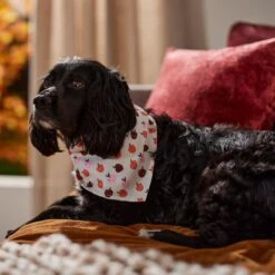 Frisco Apple Dog & Cat Bandana 14 Frisco Apple Dog & Cat Bandana -Frisco Sales Store 353786 PT6. AC SS1800 V1660749688