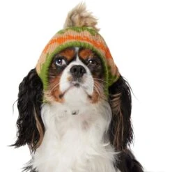 Frisco Striped Poof Dog & Cat Knitted Hat 8 Frisco Striped Poof Dog & Cat Knitted Hat -Frisco Sales Store 353793 PT2. AC SS1800 V1659008241