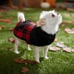 Frisco Mediumweight Plaid Faux Fur Dog & Cat Jacket 14 Frisco Mediumweight Plaid Faux Fur Dog & Cat Jacket -Frisco Sales Store 353847 PT7. AC SS1800 V1661274842