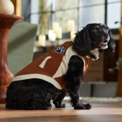 Frisco Lightweight Varsity Dog & Cat Jacket -Frisco Sales Store 353861 PT7. AC SS1800 V1660749417