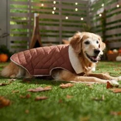 Frisco Mid-Heavyweight Fleece Lined Quilted Dog & Cat Coat 14 Frisco Mid-Heavyweight Fleece Lined Quilted Dog & Cat Coat -Frisco Sales Store 353877 PT7. AC SS1800 V1660750171