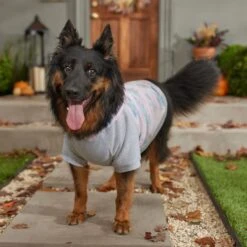 Frisco Pink Tie Dye Dog & Cat Hoodie -Frisco Sales Store 353981 PT7. AC SS1800 V1660749835