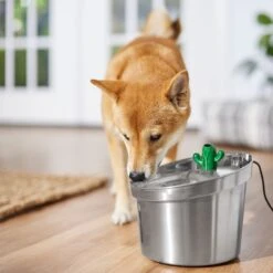 Frisco Stainless Steel Cactus & Leaf Dog & Cat Fountain -Frisco Sales Store 355814 PT5. AC SS1800 V1665683869