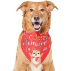 Frisco Cutest Reindeer Of All Dog & Cat Bandana 10 Frisco Cutest Reindeer Of All Dog & Cat Bandana -Frisco Sales Store 357931 PT2. AC SS1800 V1660756046