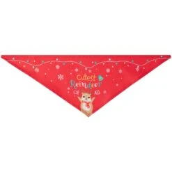 Frisco Cutest Reindeer Of All Dog & Cat Bandana 13 Frisco Cutest Reindeer Of All Dog & Cat Bandana -Frisco Sales Store 357931 PT5. AC SS1800 V1660756046