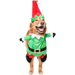 Frisco Front Walking Elf Dog & Cat Costume -Frisco Sales Store 357956 PT3. AC SS1800 V1660760416