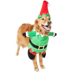 Frisco Front Walking Elf Dog & Cat Costume -Frisco Sales Store 357956 PT4. AC SS1800 V1660757458