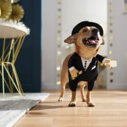 Frisco Front Walking New Years Tuxedo Dog & Cat Costume 16 Frisco Front Walking New Years Tuxedo Dog & Cat Costume -Frisco Sales Store 358028 PT7. AC SS1800 V1661799888