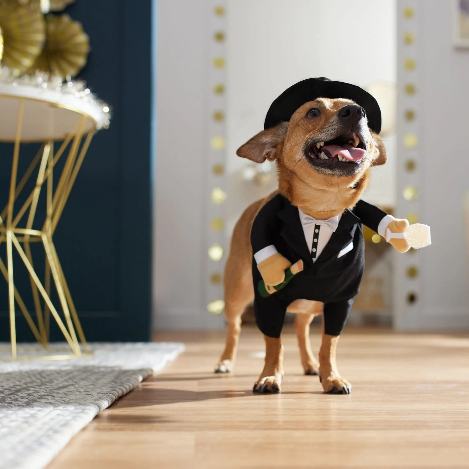 Frisco Front Walking New Years Tuxedo Dog & Cat Costume 8 Frisco Front Walking New Years Tuxedo Dog & Cat Costume - Image 8