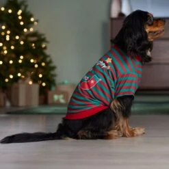 Frisco Naughty, Nice, I Tried Dog & Cat T-Shirt -Frisco Sales Store 358301 PT7. AC SS1800 V1661797473