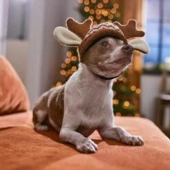 Frisco Antler Fair Isle Dog & Cat Hat 10 Frisco Antler Fair Isle Dog & Cat Hat -Frisco Sales Store 358313 PT4. AC SS1800 V1661798696