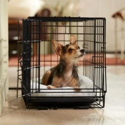 Frisco Adjustable Electrical Dog & Cat Heated Crate Mat With Timer 12 Frisco Adjustable Electrical Dog & Cat Heated Crate Mat With Timer -Frisco Sales Store 358546 PT5. AC SS1800 V1662500981