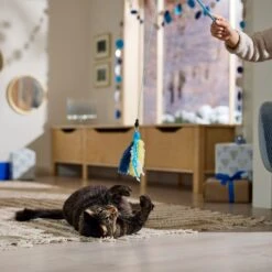 Frisco Hanukkah Interchangeable Teaser Wand Cat Toy With Catnip 6 Frisco Hanukkah Interchangeable Teaser Wand Cat Toy With Catnip -Frisco Sales Store 360911 PT3. AC SS1800 V1661890134