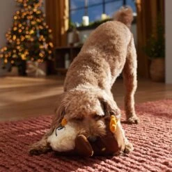 Frisco Holiday Festive Owl Plush Squeaky Dog Toy 6 Frisco Holiday Festive Owl Plush Squeaky Dog Toy -Frisco Sales Store 360919 PT3. AC SS1800 V1661874361