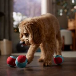 Frisco Holiday Ho Ho Ho Fetch Squeaky Tennis Ball Dog Toy -Frisco Sales Store 360952 PT3. AC SS1800 V1661874421