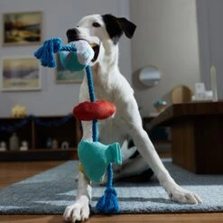 Frisco Hanukkah Celebration Plush With Rope Squeaky Dog Toy -Frisco Sales Store 360986 PT3. AC SS1800 V1661874063