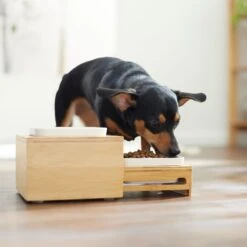 Frisco Elevated Non-Skid Bamboo Melamine Bowl Double Diner With Bamboo Stand 7 Frisco Elevated Non-Skid Bamboo Melamine Bowl Double Diner With Bamboo Stand -Frisco Sales Store 363385 PT5. AC SS1800 V1657657267